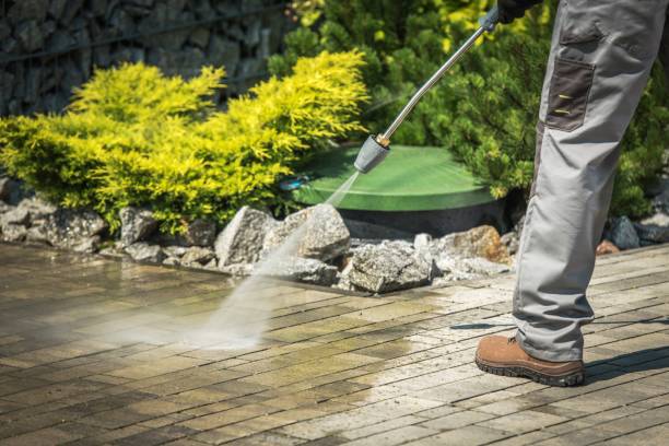 Best Roof Washing  in Franklinville, NJ